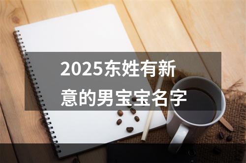 2025东姓有新意的男宝宝名字