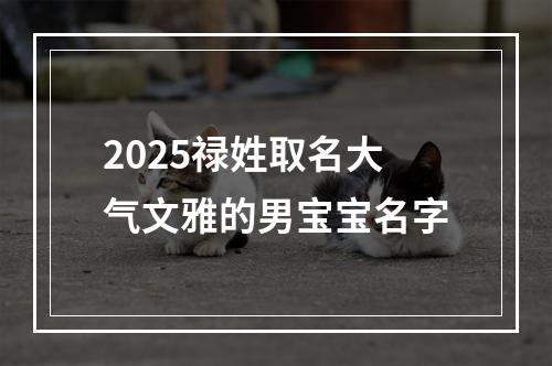 2025禄姓取名大气文雅的男宝宝名字