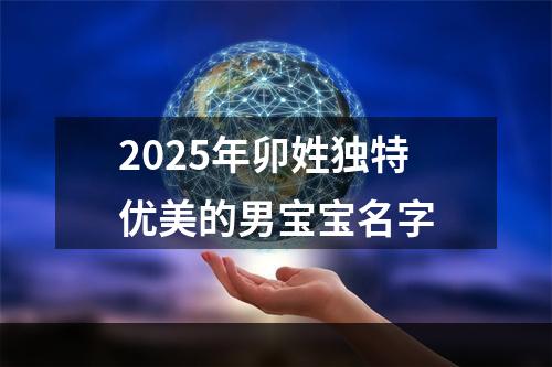2025年卯姓独特优美的男宝宝名字
