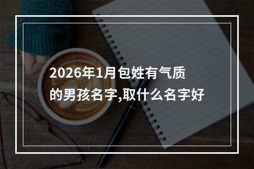 2026年1月包姓有气质的男孩名字,取什么名字好