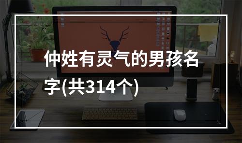 仲姓有灵气的男孩名字(共314个)
