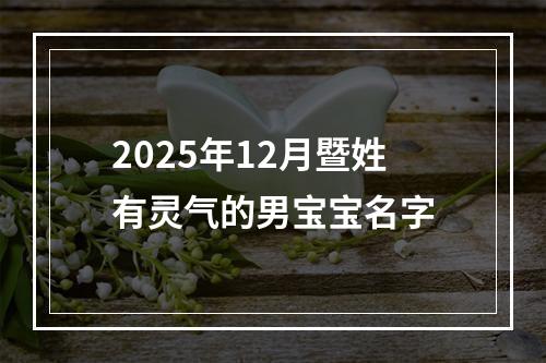 2025年12月暨姓有灵气的男宝宝名字