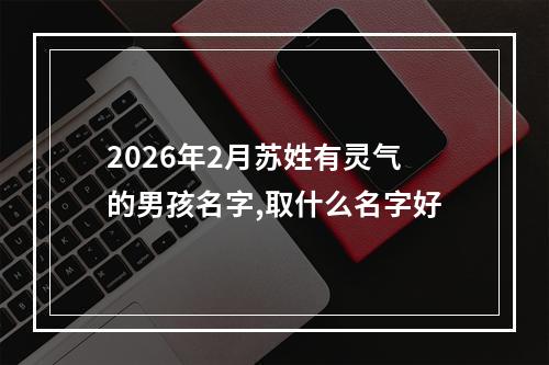 2026年2月苏姓有灵气的男孩名字,取什么名字好