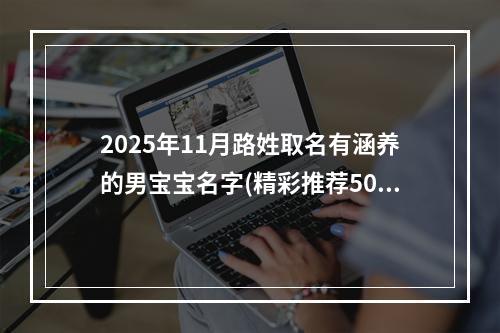 2025年11月路姓取名有涵养的男宝宝名字(精彩推荐507个)