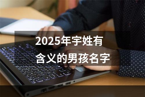2025年宇姓有含义的男孩名字