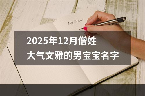 2025年12月僧姓大气文雅的男宝宝名字