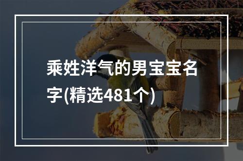 乘姓洋气的男宝宝名字(精选481个)
