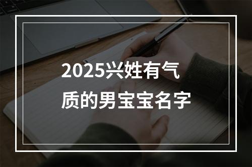 2025兴姓有气质的男宝宝名字