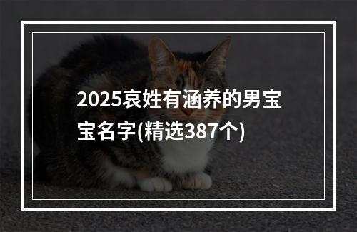 2025哀姓有涵养的男宝宝名字(精选387个)