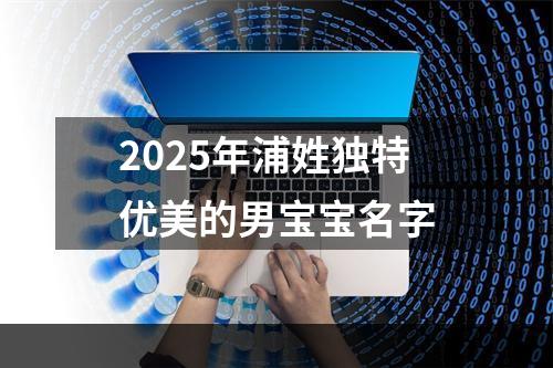 2025年浦姓独特优美的男宝宝名字