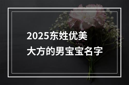 2025东姓优美大方的男宝宝名字