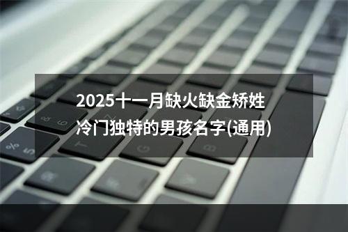 2025十一月缺火缺金矫姓冷门独特的男孩名字(通用)