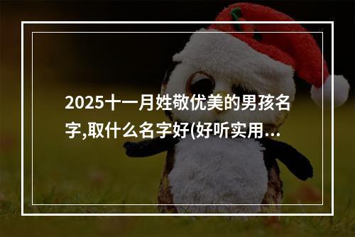 2025十一月姓敬优美的男孩名字,取什么名字好(好听实用)