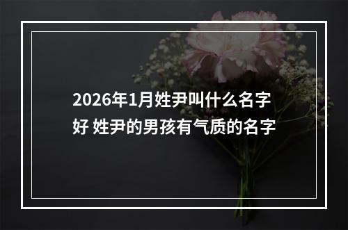 2026年1月姓尹叫什么名字好 姓尹的男孩有气质的名字