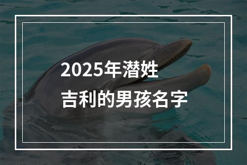 2025年潜姓吉利的男孩名字