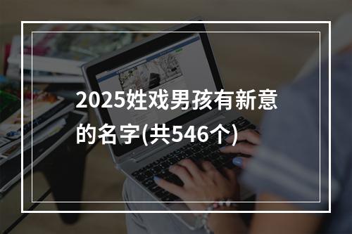 2025姓戏男孩有新意的名字(共546个)