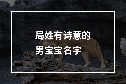 局姓有诗意的男宝宝名字