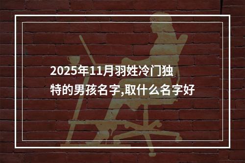 2025年11月羽姓冷门独特的男孩名字,取什么名字好