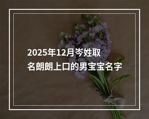 2025年12月岑姓取名朗朗上口的男宝宝名字