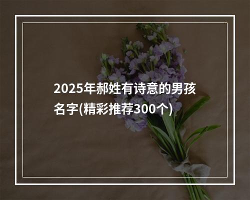 2025年郝姓有诗意的男孩名字(精彩推荐300个)