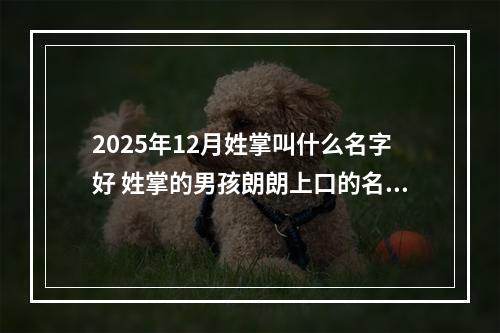 2025年12月姓掌叫什么名字好 姓掌的男孩朗朗上口的名字