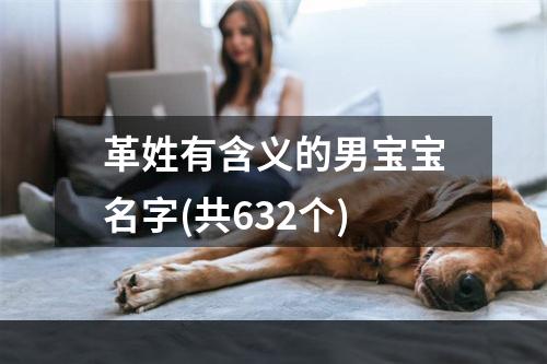 革姓有含义的男宝宝名字(共632个)