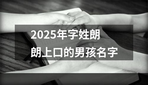 2025年字姓朗朗上口的男孩名字