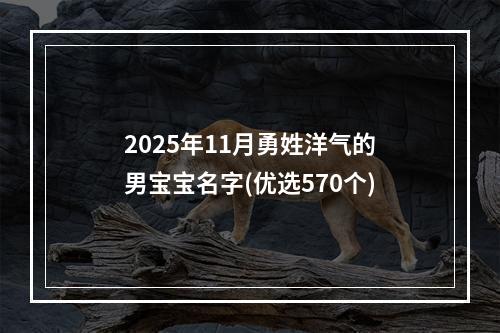 2025年11月勇姓洋气的男宝宝名字(优选570个)