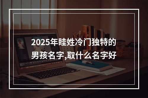 2025年眭姓冷门独特的男孩名字,取什么名字好