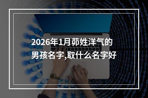 2026年1月茆姓洋气的男孩名字,取什么名字好