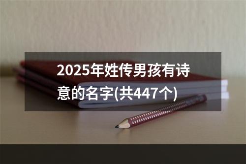 2025年姓传男孩有诗意的名字(共447个)