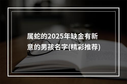 属蛇的2025年缺金有新意的男孩名字(精彩推荐)