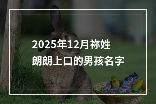 2025年12月祢姓朗朗上口的男孩名字