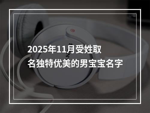 2025年11月受姓取名独特优美的男宝宝名字