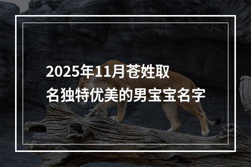 2025年11月苍姓取名独特优美的男宝宝名字