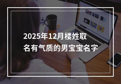 2025年12月楼姓取名有气质的男宝宝名字