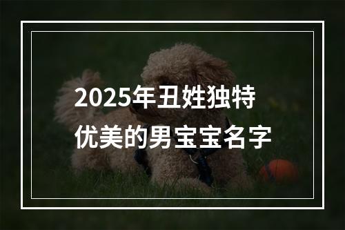 2025年丑姓独特优美的男宝宝名字
