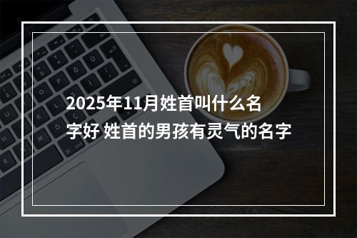 2025年11月姓首叫什么名字好 姓首的男孩有灵气的名字