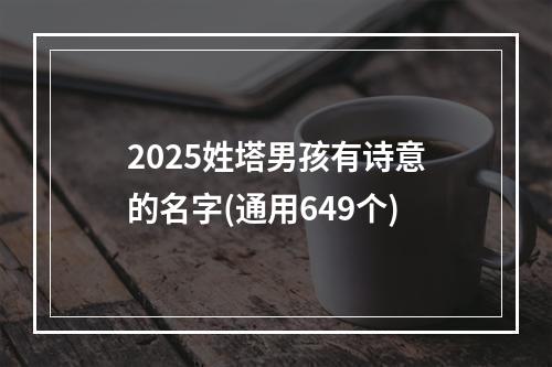 2025姓塔男孩有诗意的名字(通用649个)