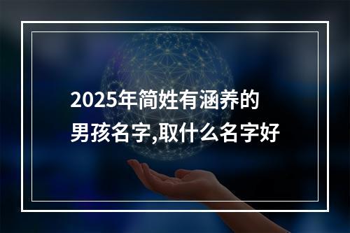 2025年简姓有涵养的男孩名字,取什么名字好