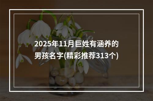 2025年11月巨姓有涵养的男孩名字(精彩推荐313个)