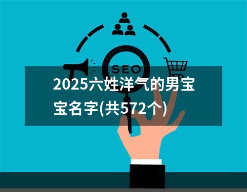 2025六姓洋气的男宝宝名字(共572个)