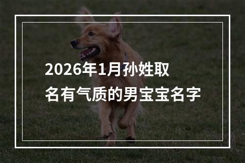 2026年1月孙姓取名有气质的男宝宝名字