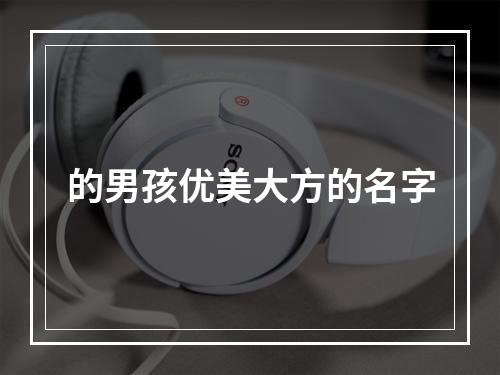 的男孩优美大方的名字