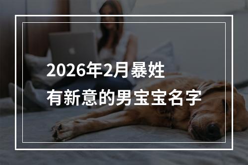 2026年2月暴姓有新意的男宝宝名字