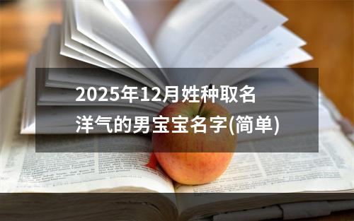 2025年12月姓种取名洋气的男宝宝名字(简单)