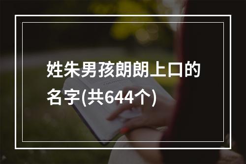 姓朱男孩朗朗上口的名字(共644个)