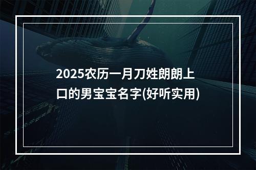 2025农历一月刀姓朗朗上口的男宝宝名字(好听实用)