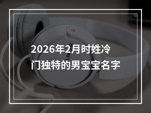 2026年2月时姓冷门独特的男宝宝名字
