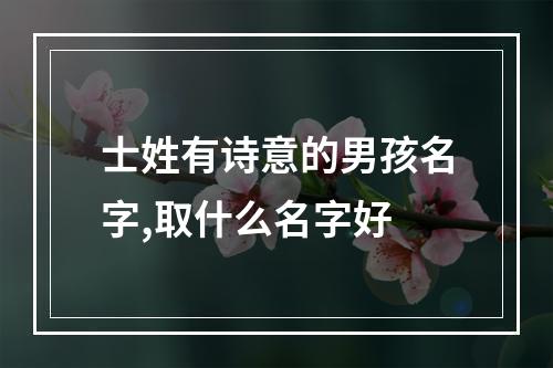 士姓有诗意的男孩名字,取什么名字好
